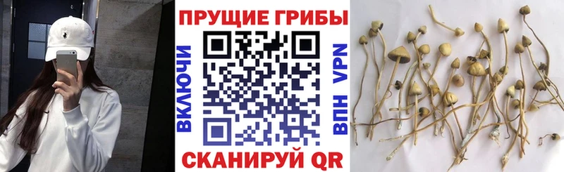 ОМГ ОМГ рабочий сайт  Буй  Галлюциногенные грибы мухоморы 
